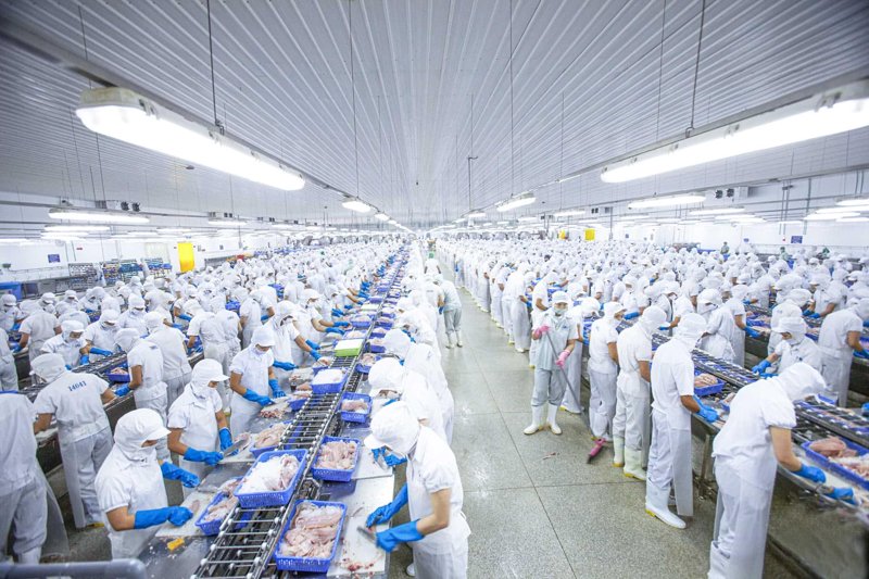 如何选择一家靠谱的餐饮配送公司？面对日益激烈的市场竞争，您是否在寻找一个理想的合作伙伴来提升您的业务效率？