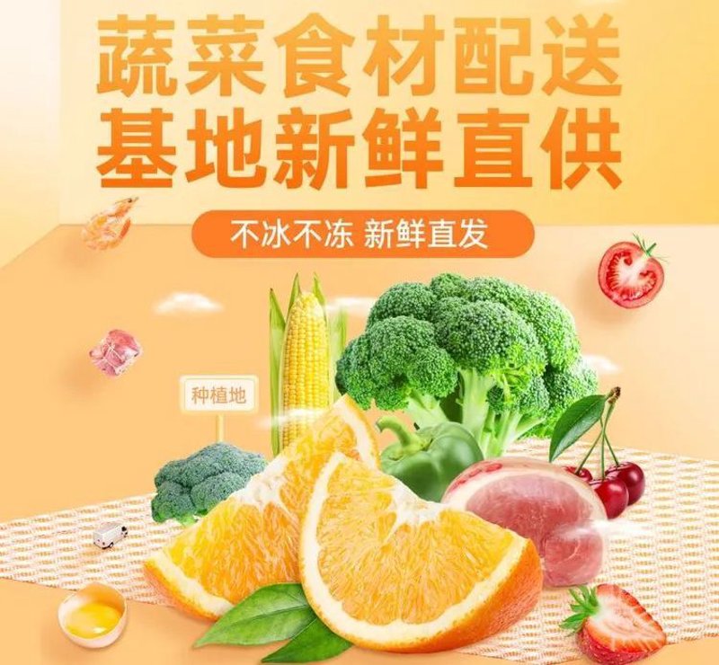 如何优化农产品物流，提升运输效率？